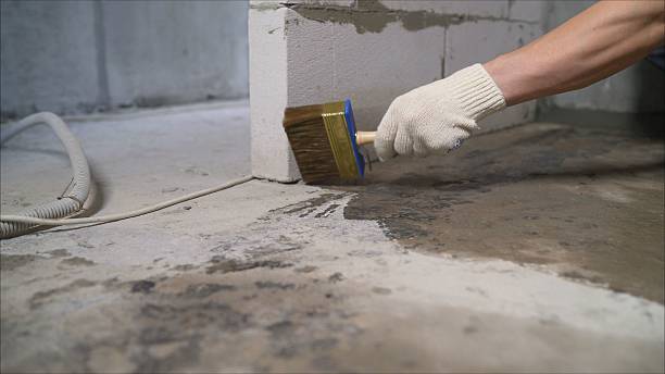 Top rated local Waterproofing specialists in Byrdstown, TN